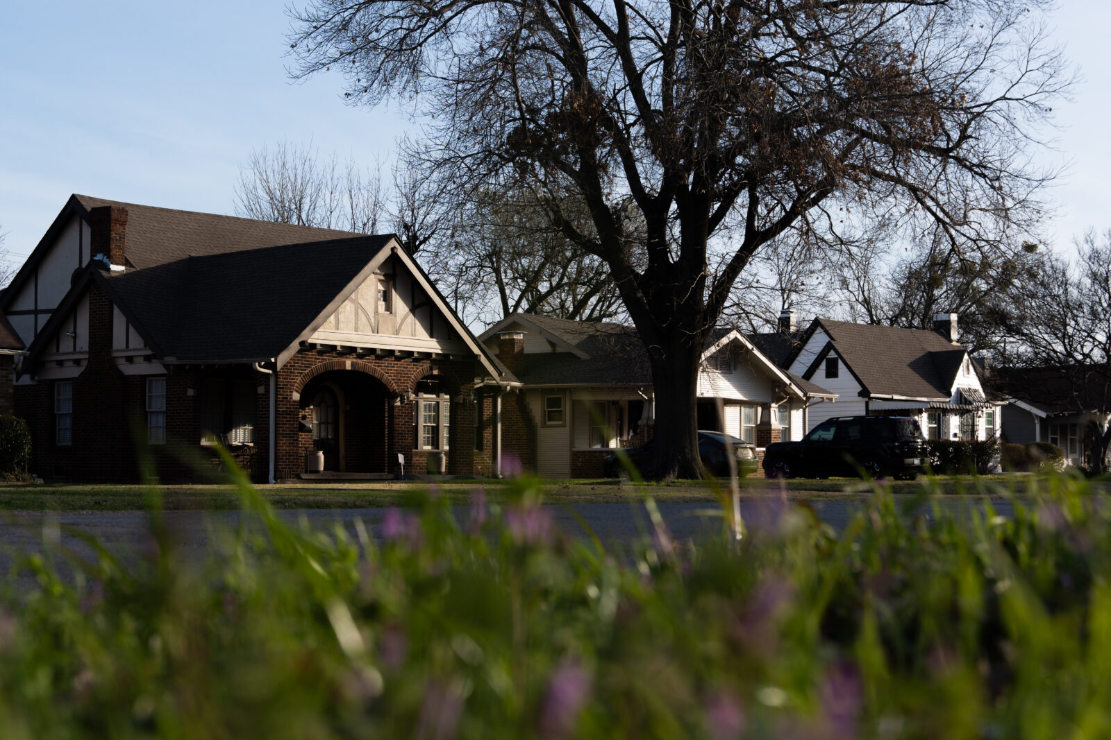 Tree-lined residential street in South Dallas with historic Tudor and craftsman homes